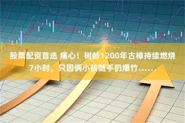 股票配资首选 痛心！树龄1200年古樟持续燃烧7小时，只因俩小孩随手扔爆竹……